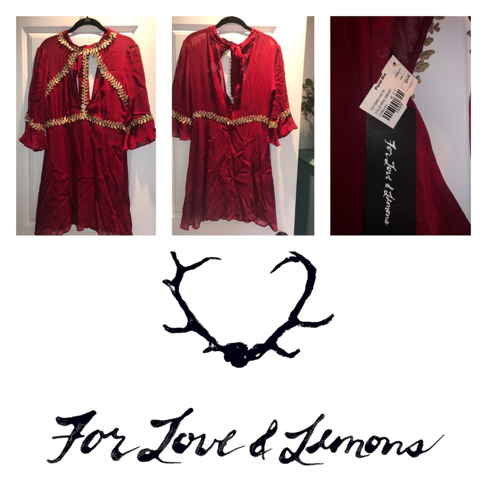 FOR LOVE AND LEMONS DRESS